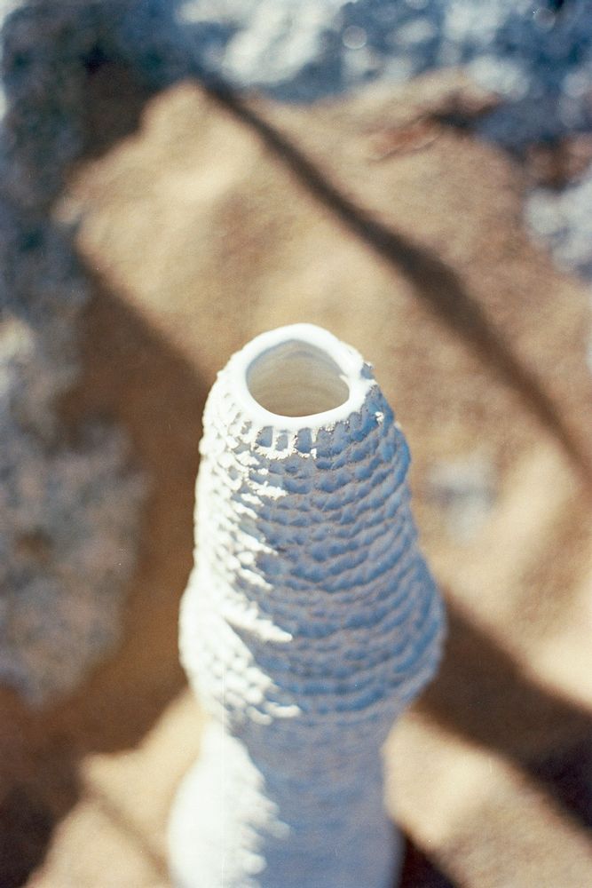 Ceramic - Porifera Large Vase - LA ALFARERA