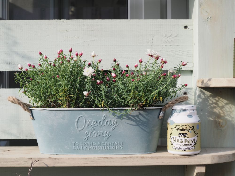 Paints and varnishes - MILK PAINT GARDEN - TURNER COLOUR WORKS LTD