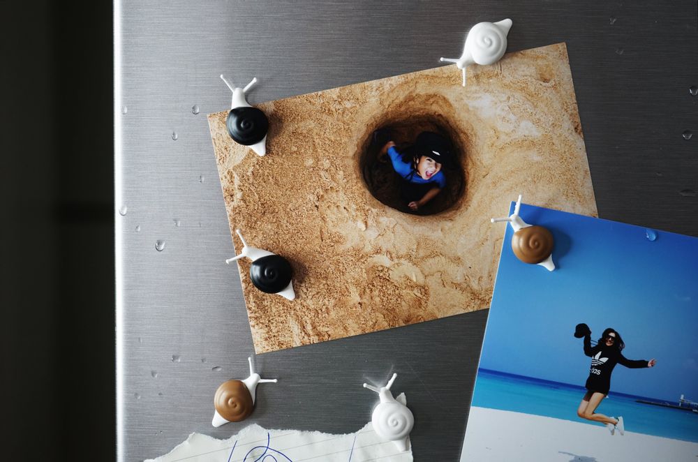 Stationery - Mini Sparrow and Snail Magnet : Stationery Collection Organizer Note paper Decorate Home - QUALY DESIGN OFFICIAL