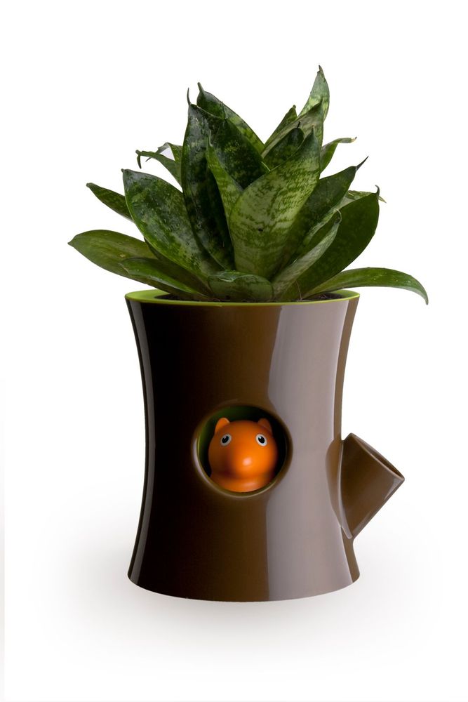 Pots de fleurs - Carepot : Pot de plantes auto-arrosage pour jardin intérieur et extérieur - QUALY DESIGN OFFICIAL