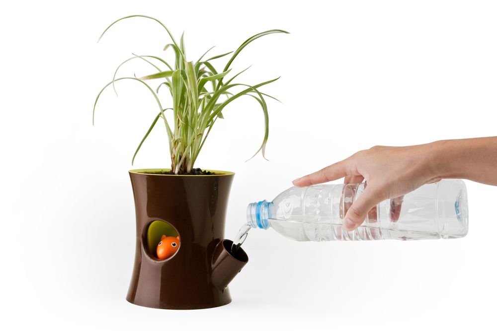 Pots de fleurs - Carepot : Pot de plantes auto-arrosage pour jardin intérieur et extérieur - QUALY DESIGN OFFICIAL