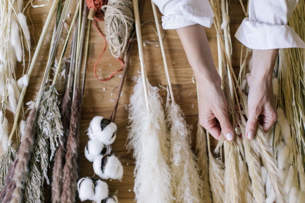 Floral decoration - Phragmitos white dried flower AX70127 - ANDREA HOUSE
