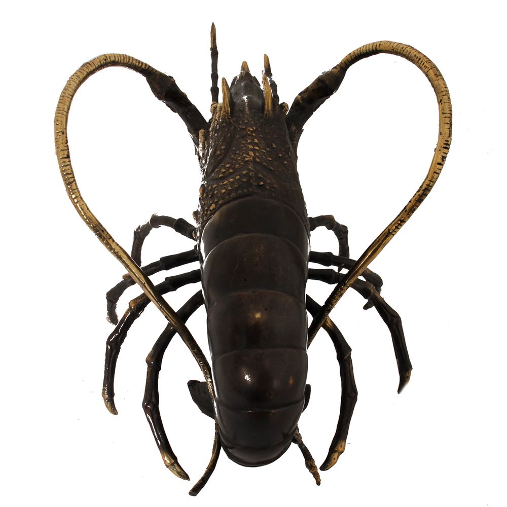 Decorative objects - H16 Lobster S - POLE TO POLE