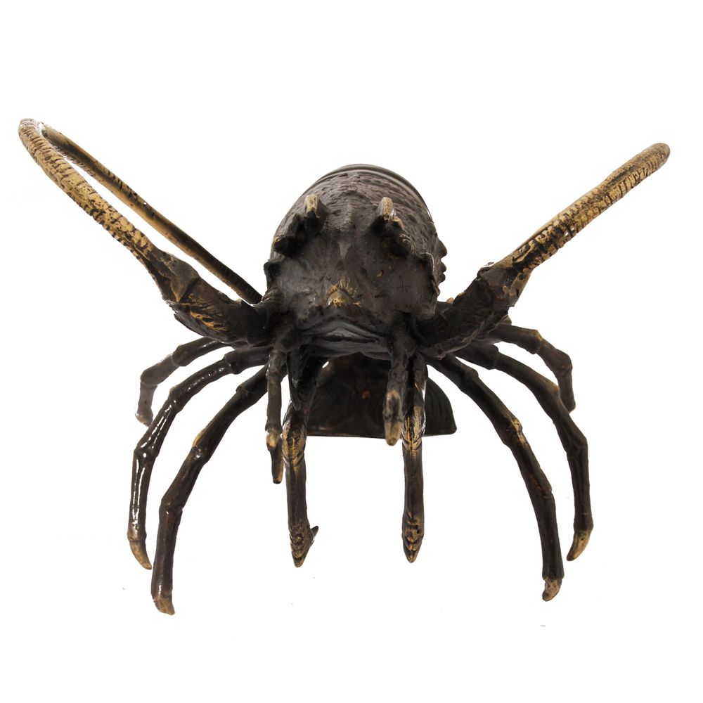 Decorative objects - H16 Lobster S - POLE TO POLE