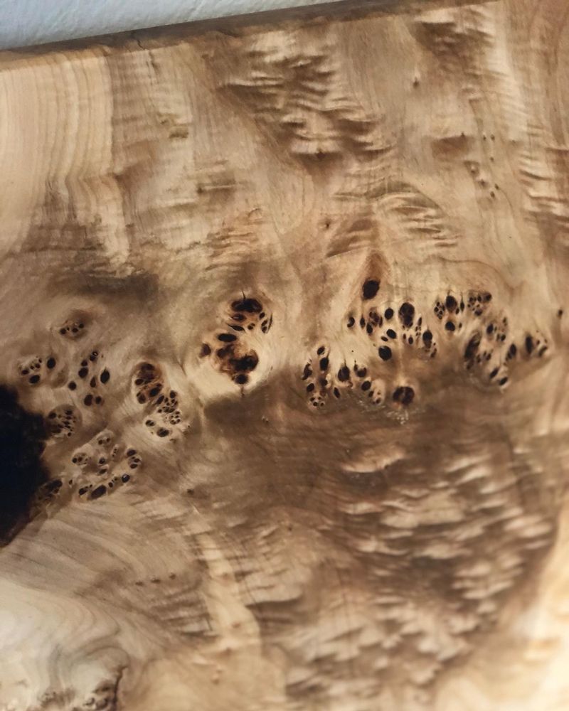 Tables basses - Table Loupe de peuplier fumée - JIMMY ARTWOOD