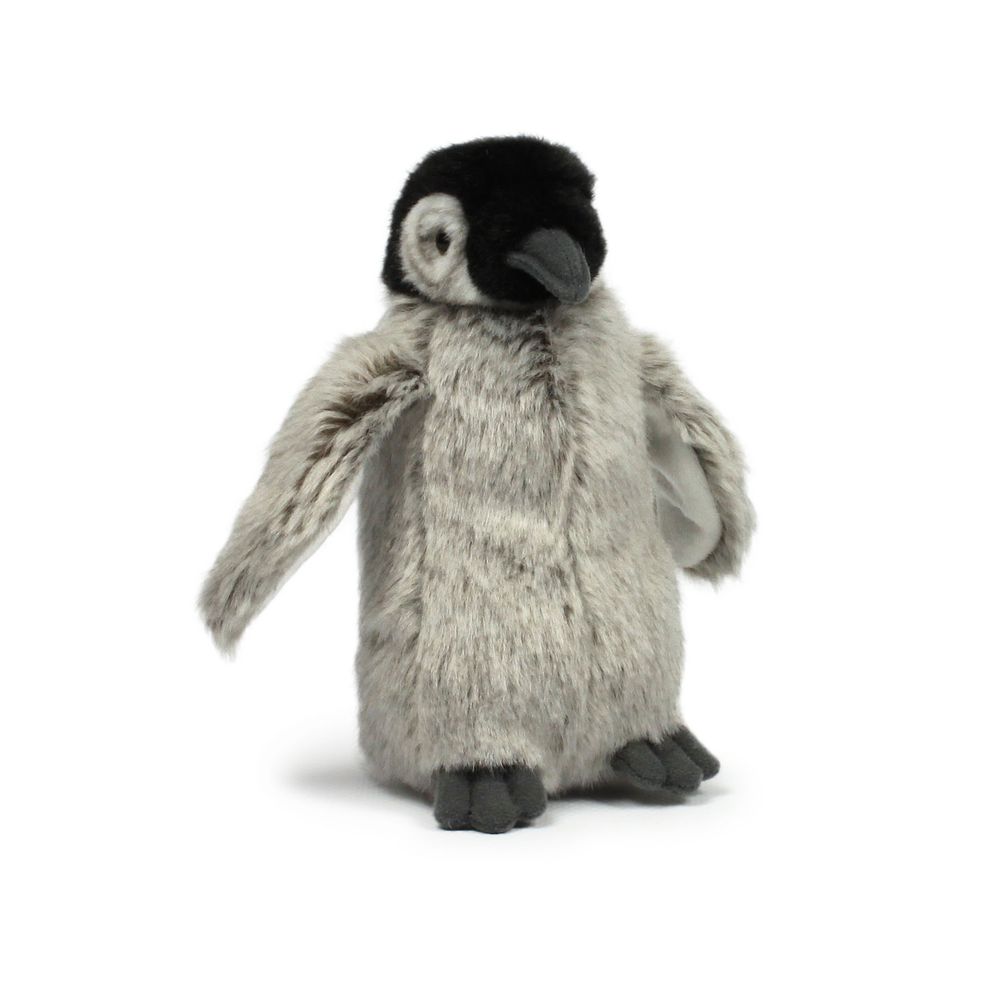 Cushions - WWF Polar World - BON TON TOYS