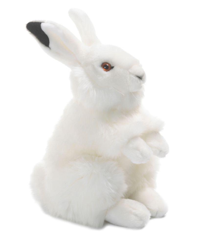 Cushions - WWF Polar World - BON TON TOYS