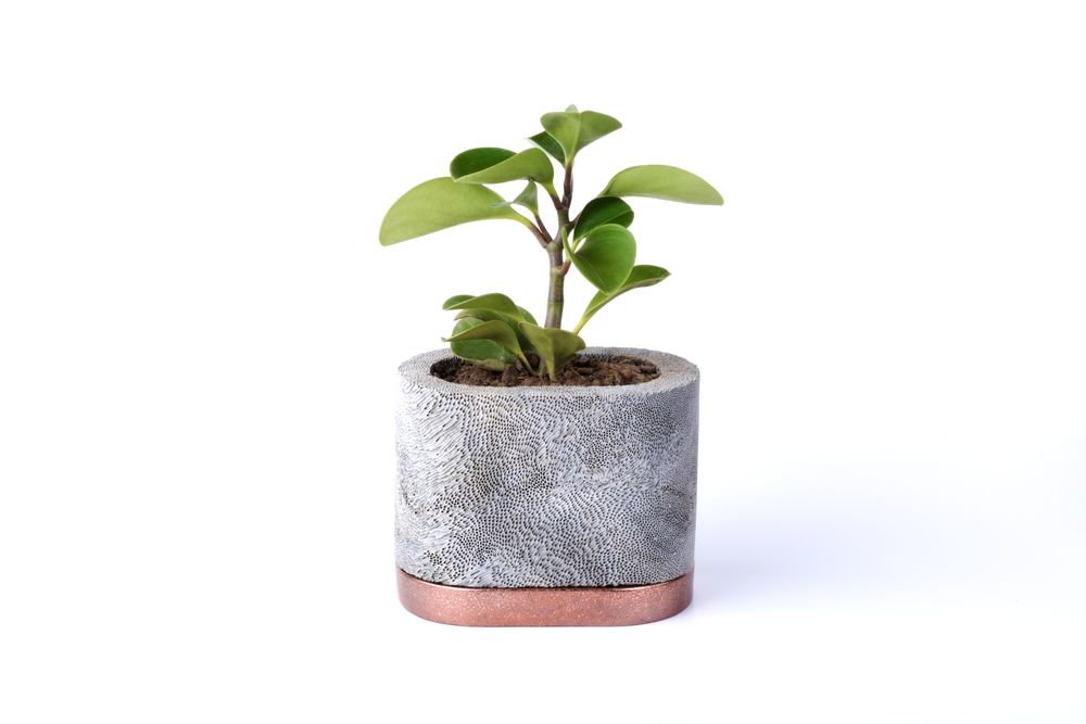 Vases - Planter Ocean by D.A.R Proyectos - NEST