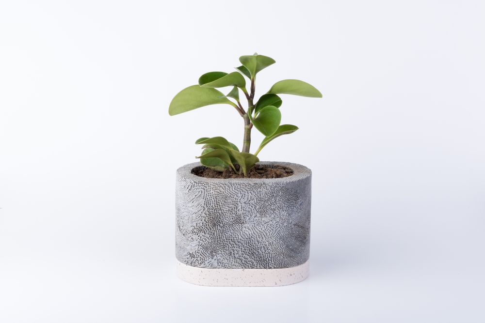 Vases - Planter Ocean by D.A.R Proyectos - NEST