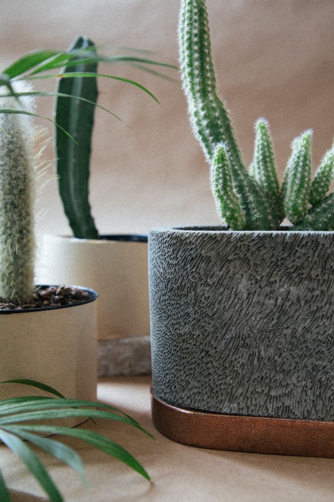 Vases - Planter Ocean by D.A.R Proyectos - NEST