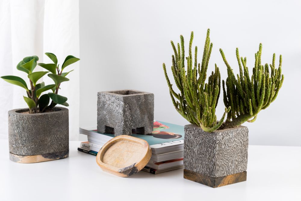 Vases - Planter Ocean by D.A.R Proyectos - NEST
