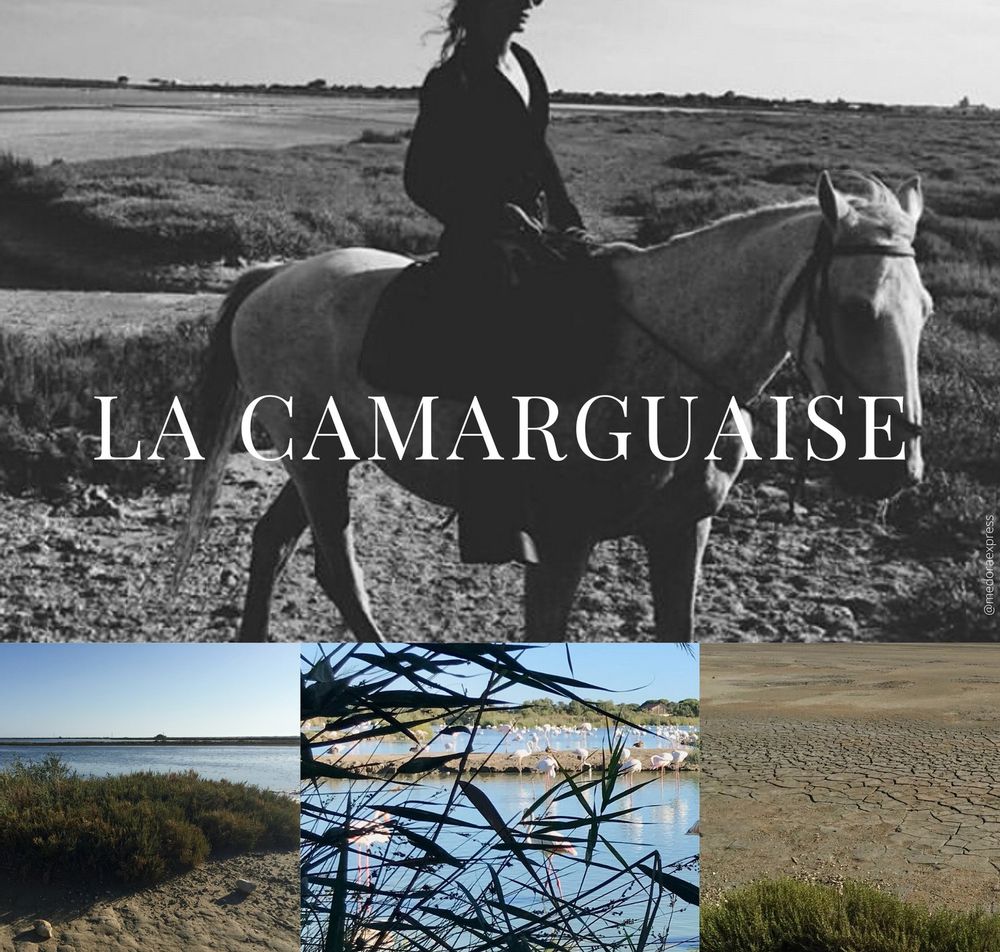 Cadeaux - BOUGIES LA CAMARGUAISE - L'ANTIDOTE