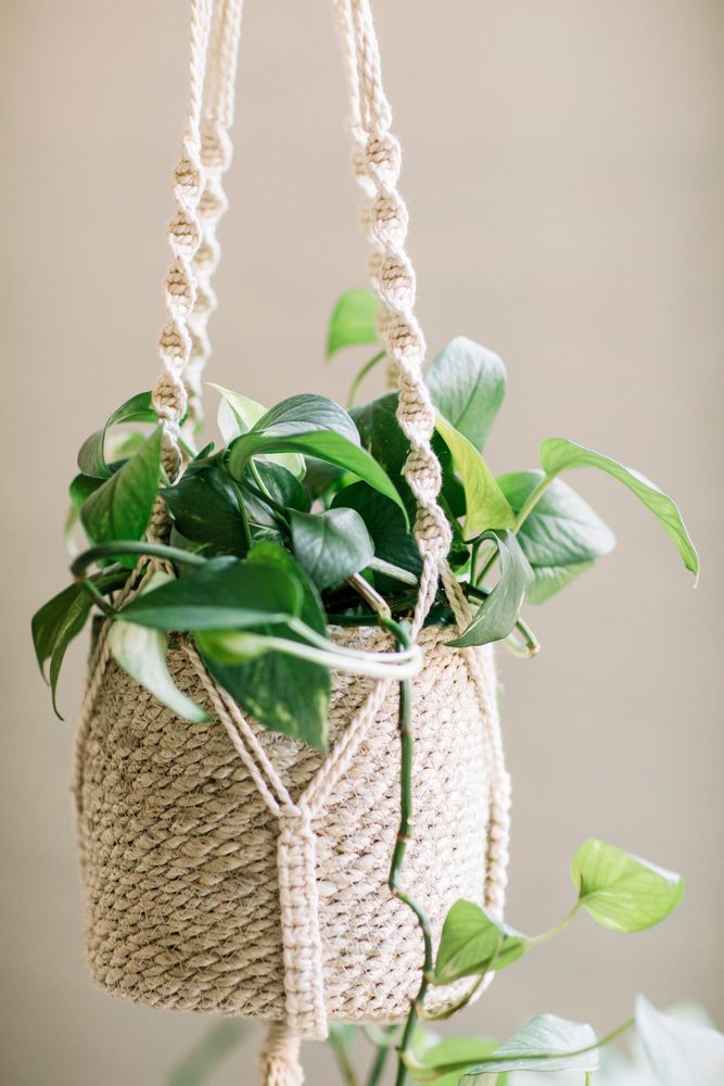 Rangements pour salle de bain - Lot de 3 pots de fleurs en jute naturel AX18069 - ANDREA HOUSE