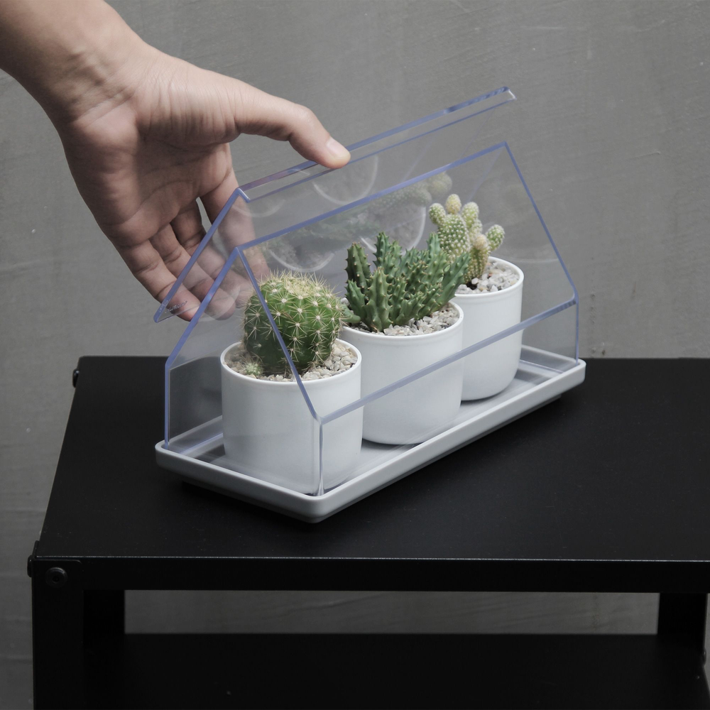 Floral decoration - Oasis Tray : Self-Watering Plant Tray for indoor and outdoor garden pot - QUALY DESIGN OFFICIAL