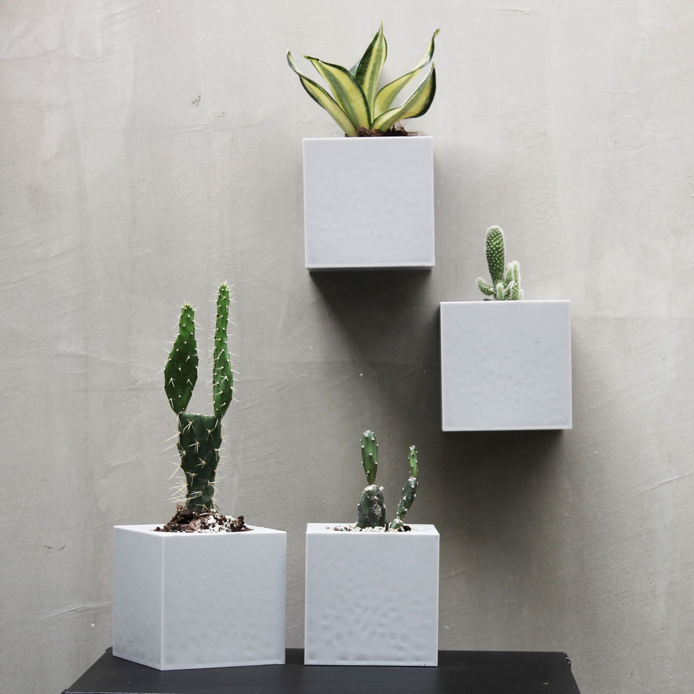Floral decoration - Oasis Tray : Self-Watering Plant Tray for indoor and outdoor garden pot - QUALY DESIGN OFFICIAL