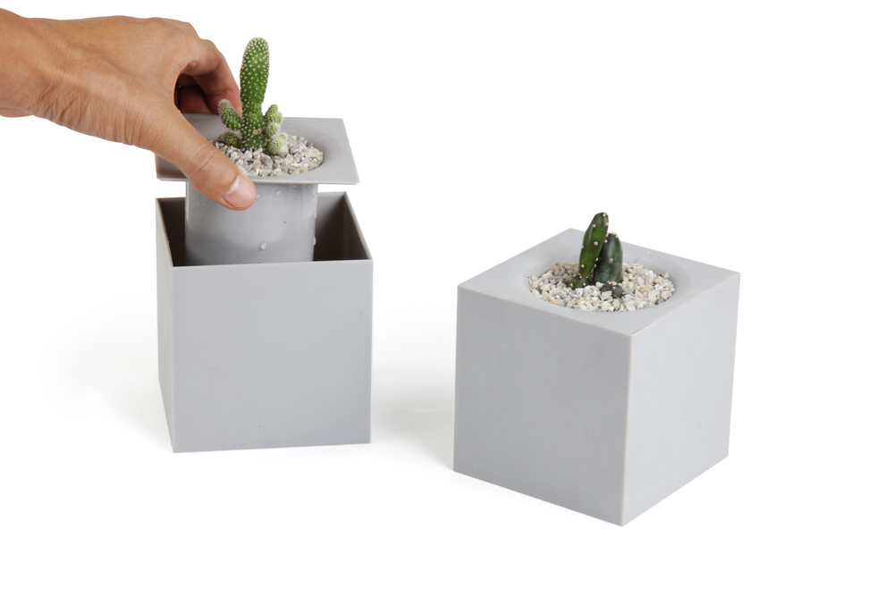 Floral decoration - Oasis Tray : Self-Watering Plant Tray for indoor and outdoor garden pot - QUALY DESIGN OFFICIAL
