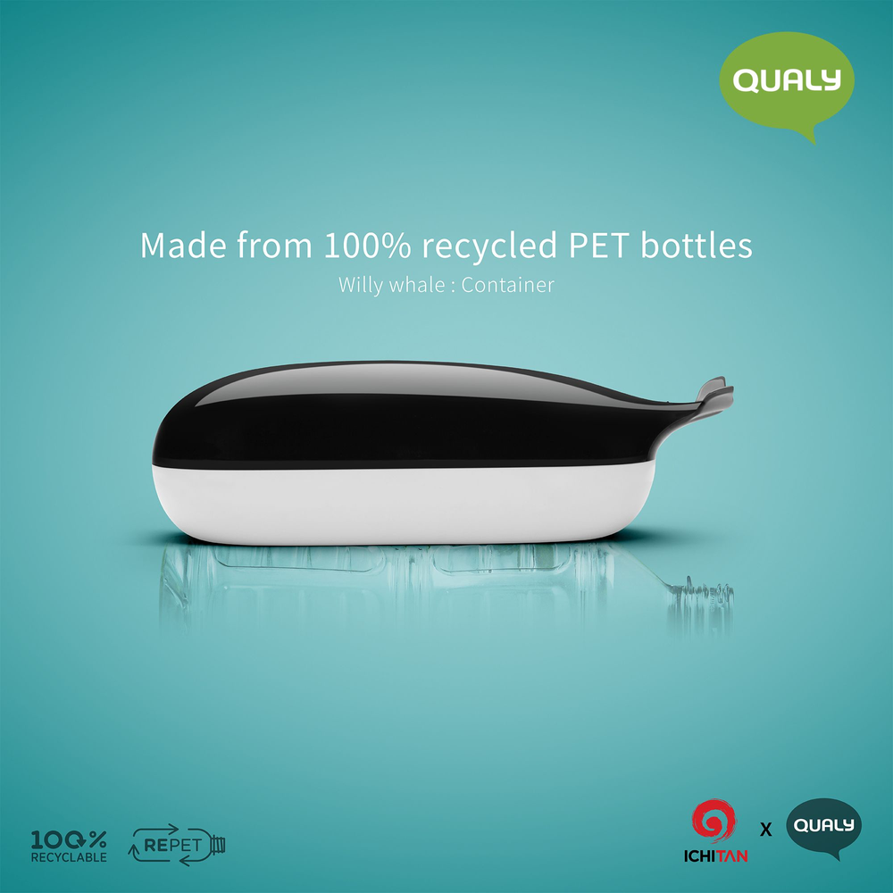 Stationery - Willy Whale Multiple Container : Iceberg Kitchen Collection: Eco-Friendly Materials 100% recyclable - QUALY DESIGN OFFICIAL