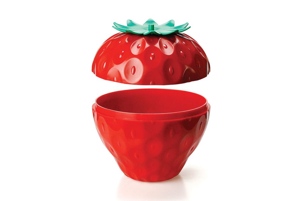 Accessoires enfants - Acorntainer : Everyday Houseware Eco Living Collection 100% recyclable. - QUALY DESIGN OFFICIAL