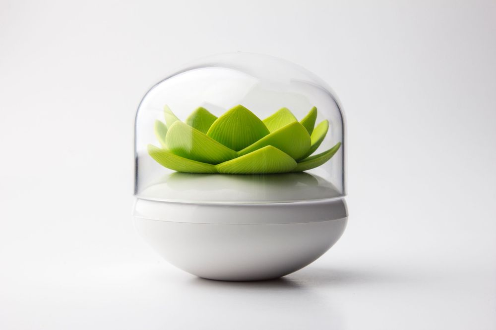 Mobilier et rangements pour bureau - Porte-bourgeons en coton d'hiver : Iceberg Bathroom Collection : Matériaux respectueux de l'environnement 100% recyclable - QUALY DESIGN OFFICIAL