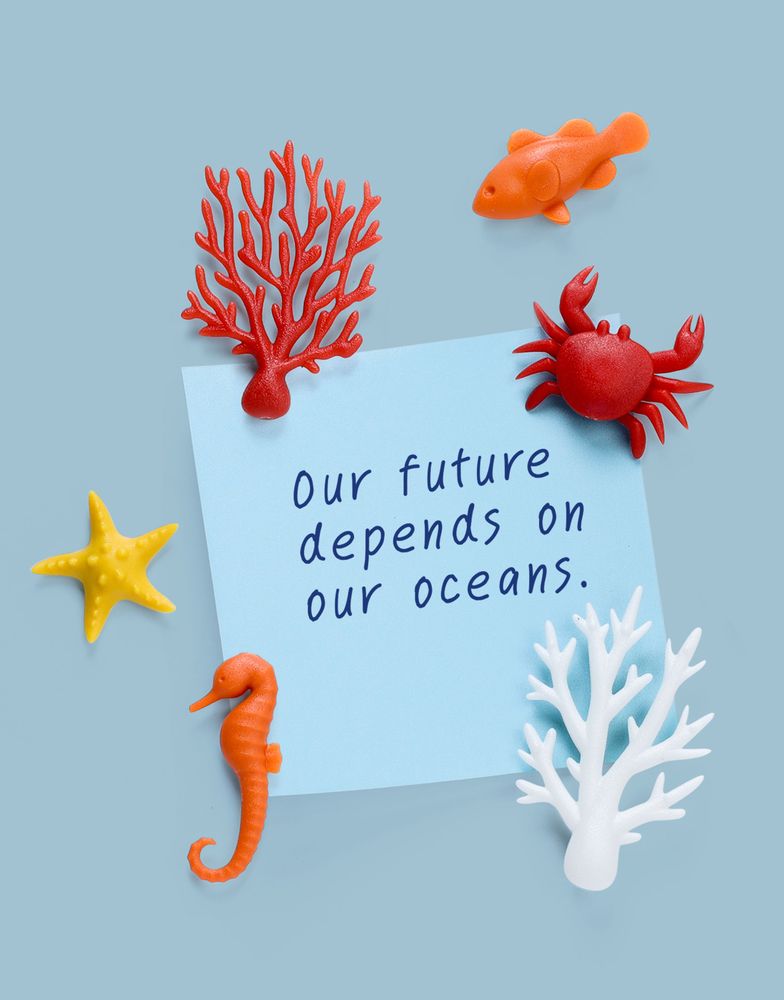 Gifts - Cloud Magnet : Stationery Collection - QUALY DESIGN OFFICIAL