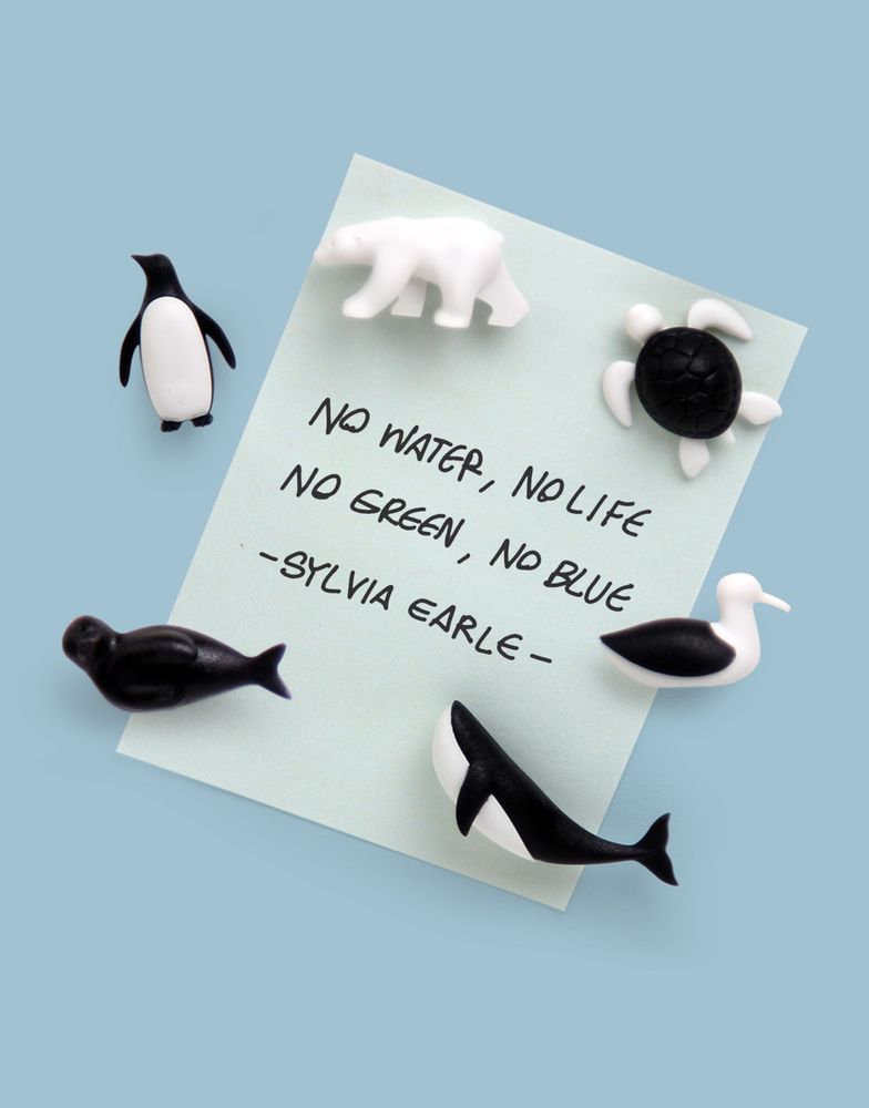 Gifts - Cloud Magnet : Stationery Collection - QUALY DESIGN OFFICIAL