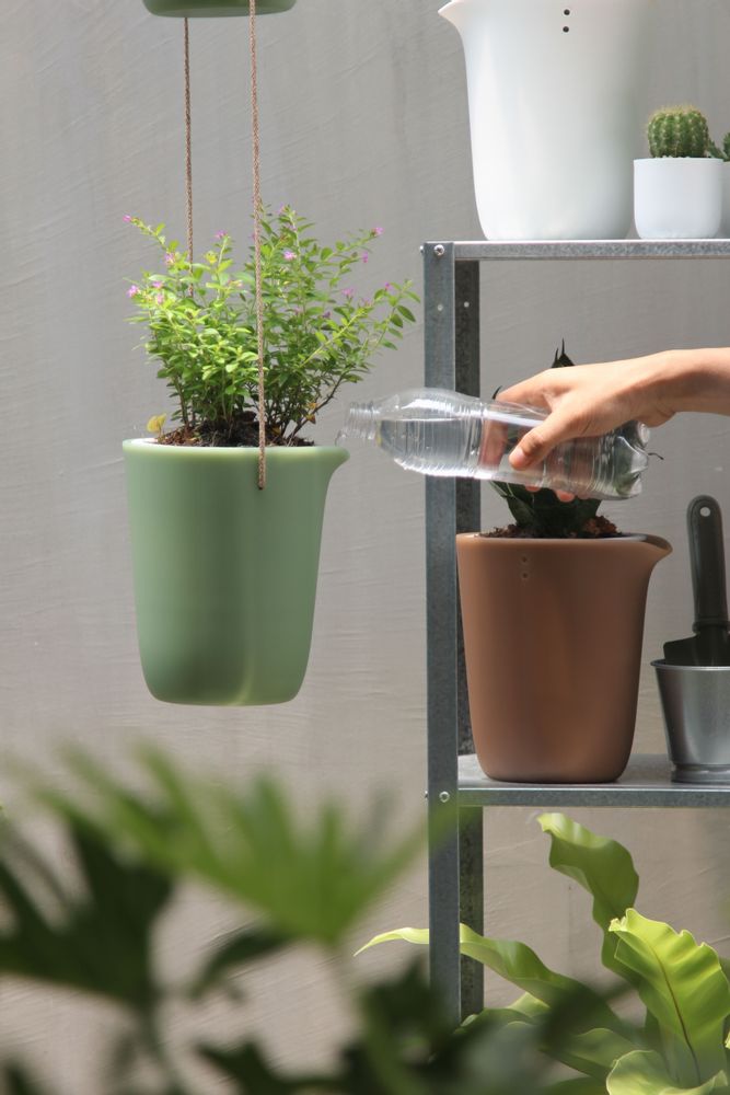 Floral decoration - Oasis Tray : Self-Watering Plant Tray for indoor and outdoor garden pot - QUALY DESIGN OFFICIAL