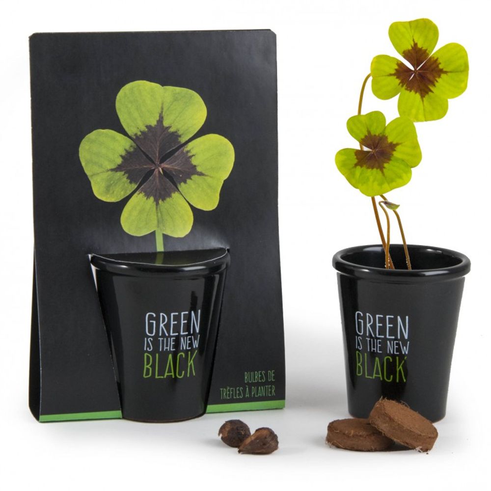 Garden accessories - Collection Pots black with seeds to sow - RADIS ET CAPUCINE