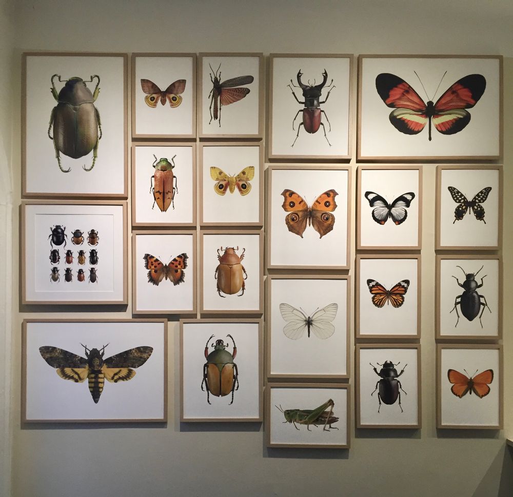 Frames - Framed art prints - LILJEBERGS