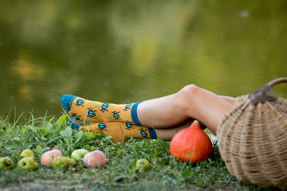 Socks - Beasts & Bugs - PIRIN HILL