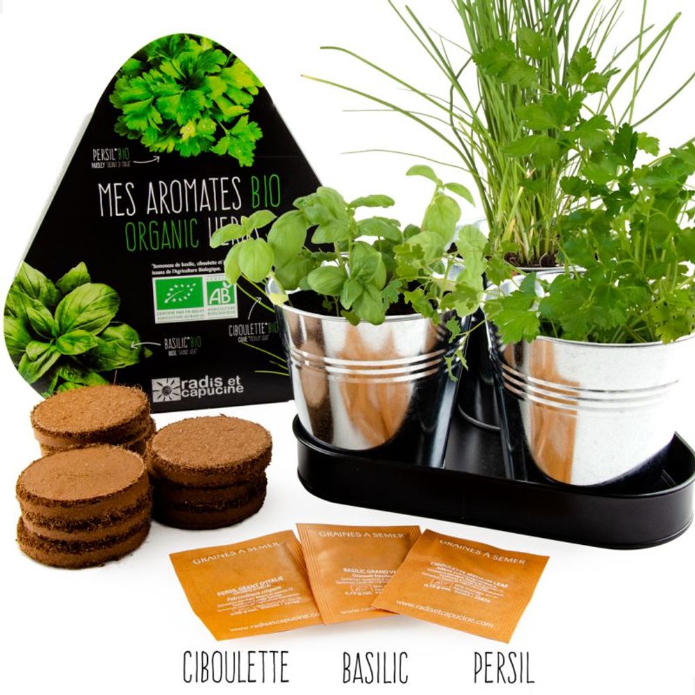 Trays - Plate range of 3 pots zinc with seeds. - RADIS ET CAPUCINE