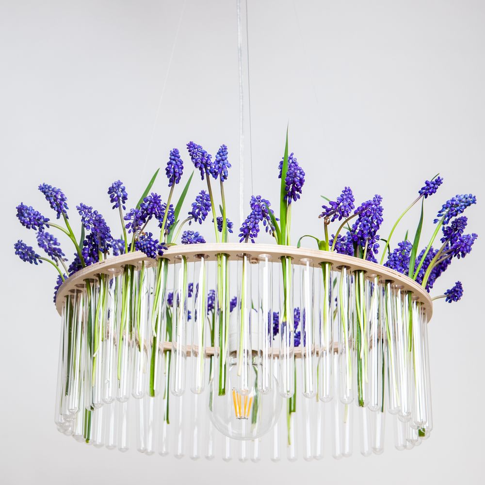 Ceiling lights - Maria SC single - PANI JUREK