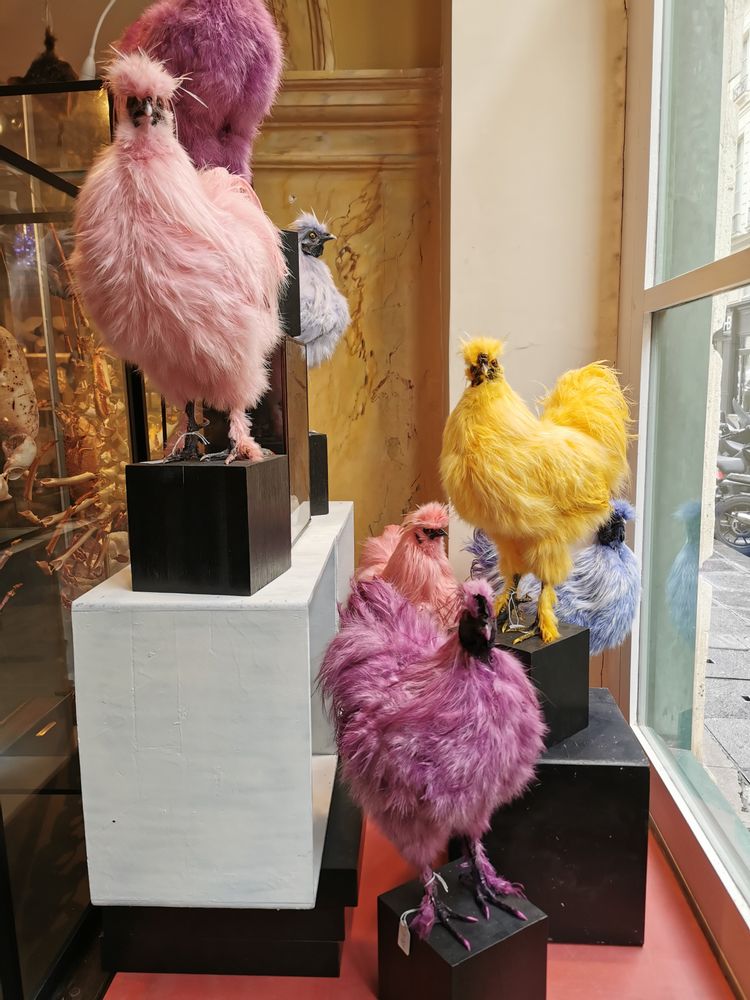 Objets de décoration - Poules colorées I Décoration. - DESIGN & NATURE