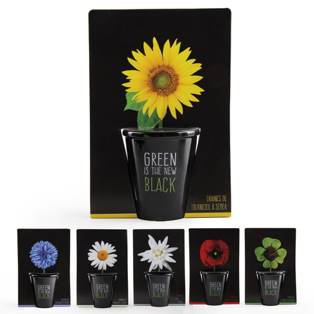 Garden accessories - Collection Pots black with seeds to sow - RADIS ET CAPUCINE