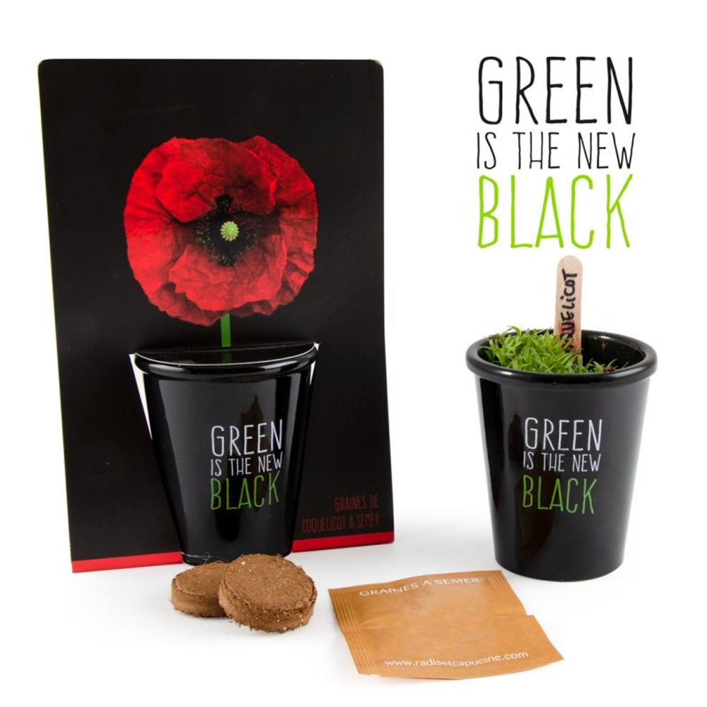 Garden accessories - Collection Pots black with seeds to sow - RADIS ET CAPUCINE