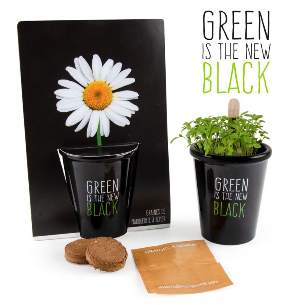 Garden accessories - Collection Pots black with seeds to sow - RADIS ET CAPUCINE