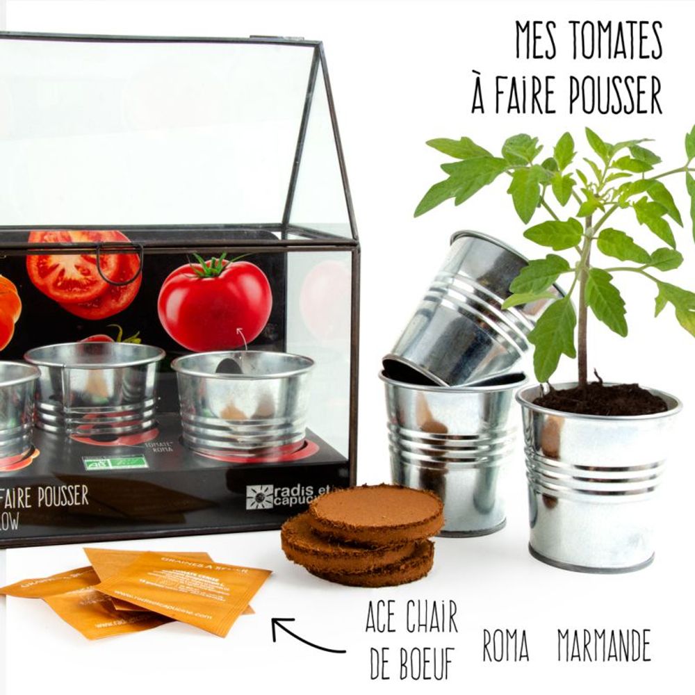 Cadeaux - Collection châssis zinc avec graines à faire pousser - RADIS ET CAPUCINE