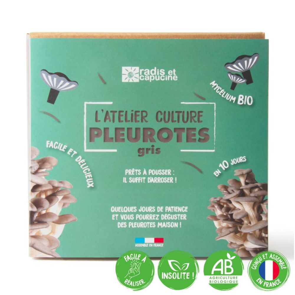 Épicerie fine - Kit de culture Pleurotes gris bio. - RADIS ET CAPUCINE