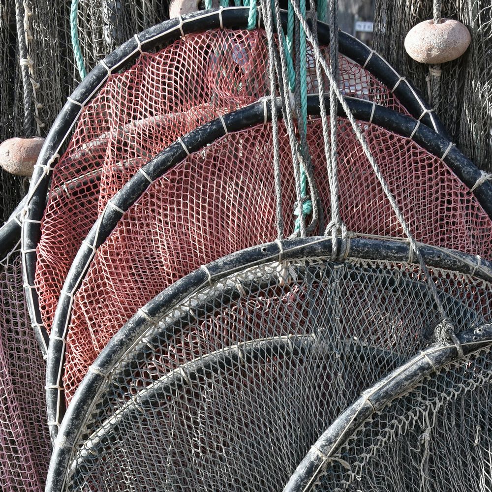 Frames - BOAT PICTURES - LA MAISON DE GASPARD
