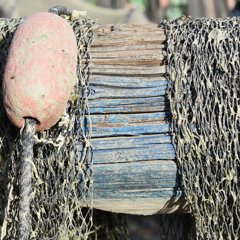 Frames - BOAT PICTURES - LA MAISON DE GASPARD
