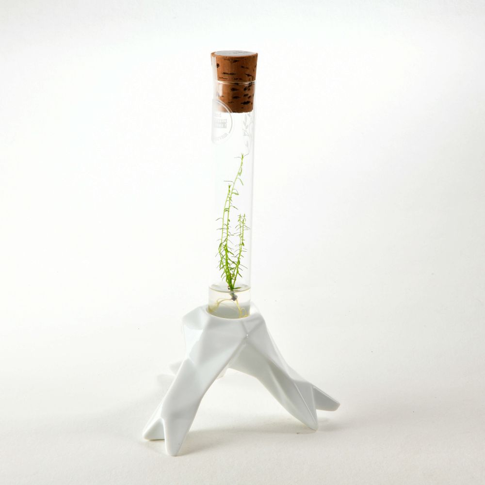 Céramique - Plantaphore Séquoïa tripode porcelaine - InPlanta - INPLANTA