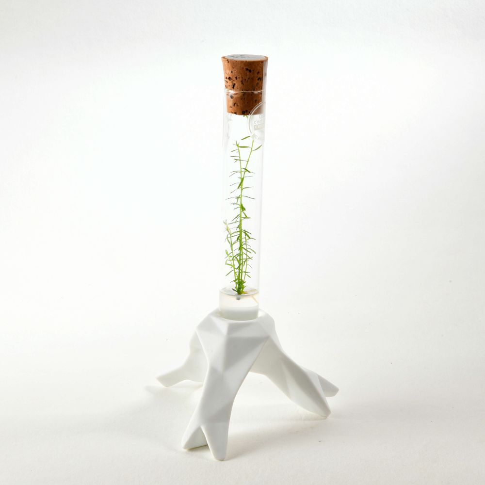 Céramique - Plantaphore Séquoïa tripode porcelaine - InPlanta - INPLANTA