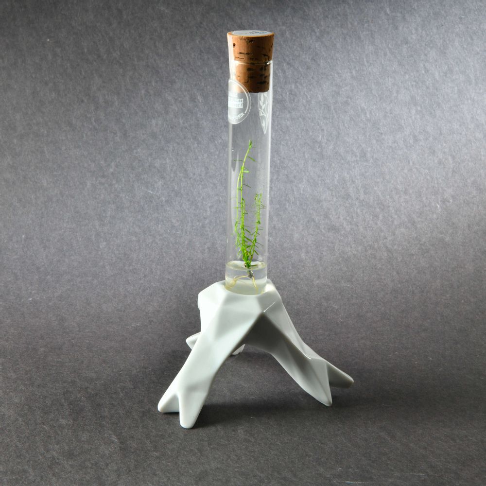 Céramique - Plantaphore Séquoïa tripode porcelaine - InPlanta - INPLANTA