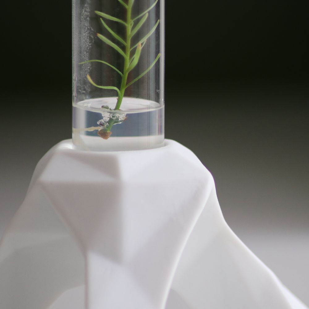 Céramique - Plantaphore Séquoïa tripode porcelaine - InPlanta - INPLANTA