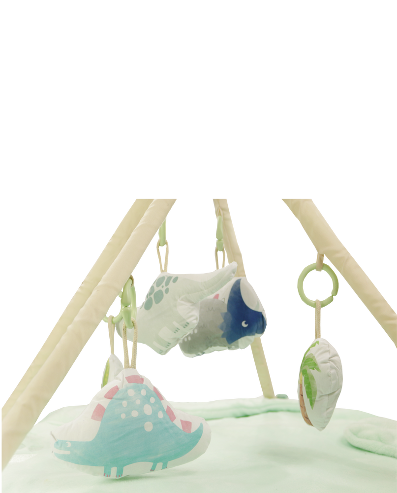 Other caperts - Dino Carpet and Teepee - PETIT ALO