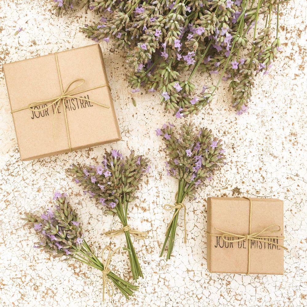 Bijoux - Créoles médaillons herbier Provence - JOUR DE MISTRAL