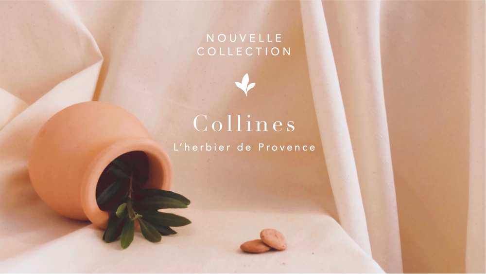 Bijoux - Créoles médaillons herbier Provence - JOUR DE MISTRAL