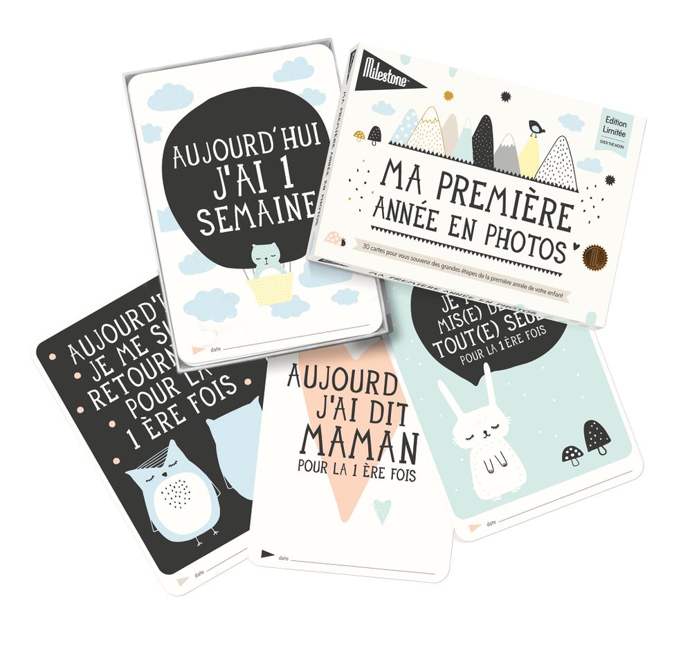 Children's arts and crafts - Baby Photo Card Booklets - Milestone TM - MILESTONE TM