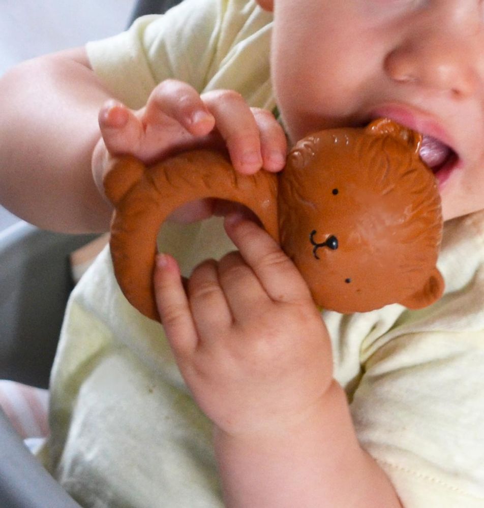Accessoires pour puériculture - Anneaux de dentition A LITTLE LOVELY COMPAGNY - A LITTLE LOVELY COMPANY