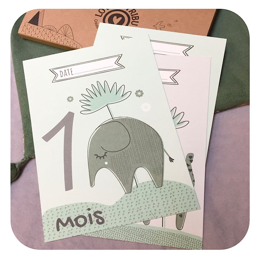 Papeterie - Décoration enfant - Cartes étapes mois après mois - LOVELY TRIBU DECORATION