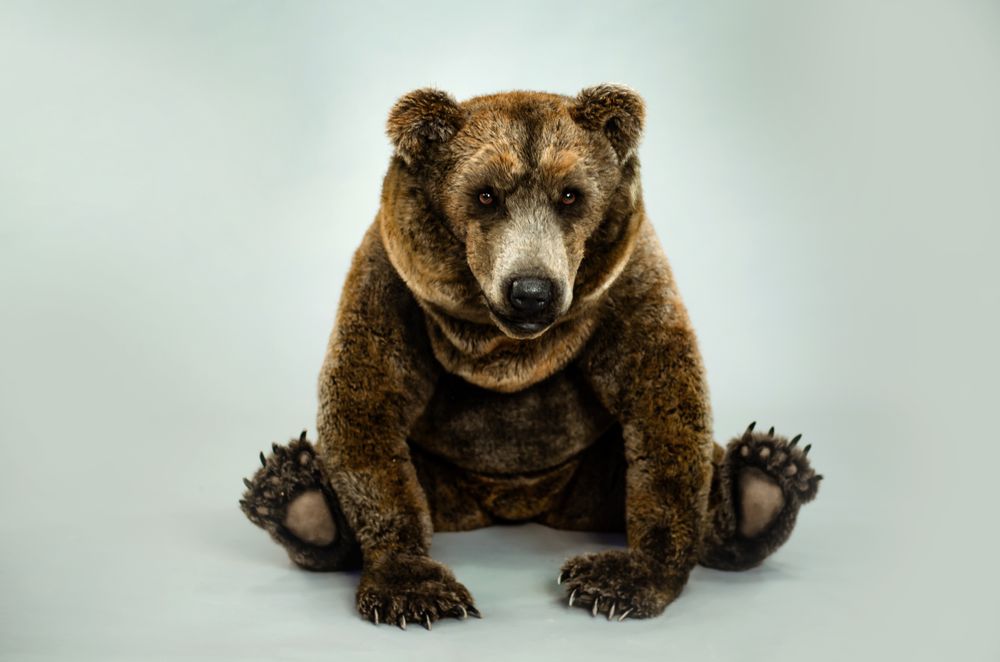 Guirlandes et boules de Noël - Sculpture réaliste ours. étalage - KATERINA MAKOGON
